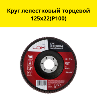 Круг лепестковый торцевой 125х22(Р100)